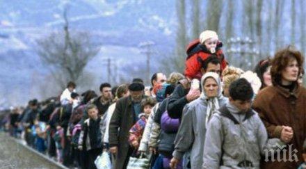 европа прави биографии мигрантите бежанците