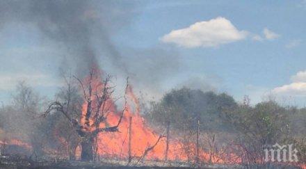 кошмар пернишко огън погълна бунгала изпепели декара гора