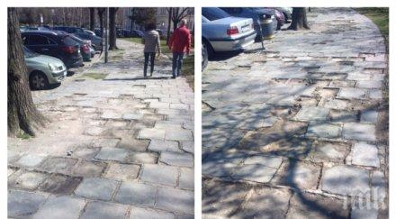 сигнал пик апаши крадат стари тротоарни плочи синодалната палата реакция съответните органи