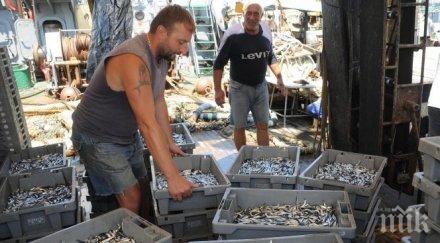 кранево чака 000 фенове цацата