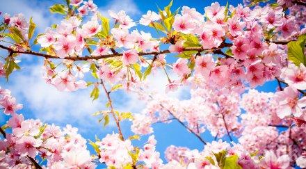 задават хладни утрини топли дни времето уикенда