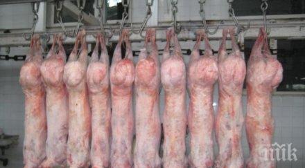 агнешкото удря килограм