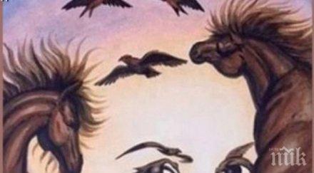 видяхте картинката казва вас