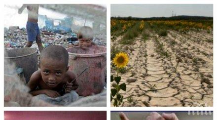 ужас учени изчислиха хора загинат повишаване температурата градуса