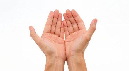 супер предсказание разкриват линиите дланта