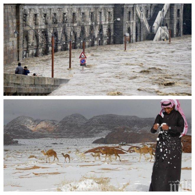 СТРАШНА ПРОГНОЗА: Пет милион души ще останат без дом до края на века в Европа