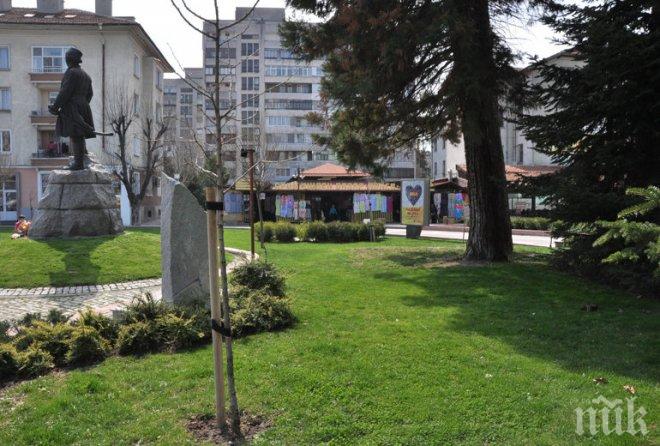 Изверги тровят на поразия кучетата в Хасково