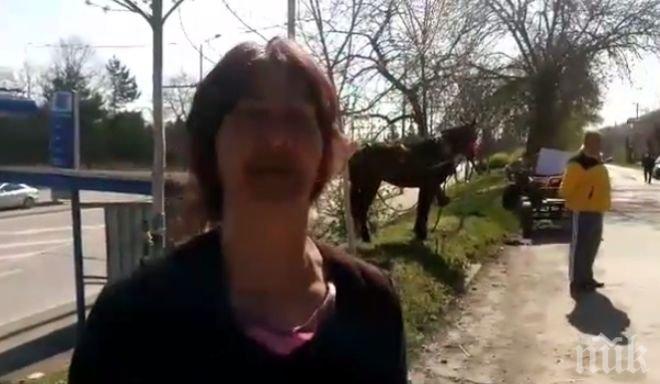 Извънредно! Ромски бунт във Враца, искат да пребият кмета (ВИДЕО)