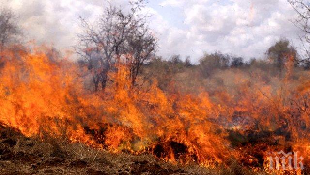 Голям пожар бушува на Е-79 в района на село Мурсалево