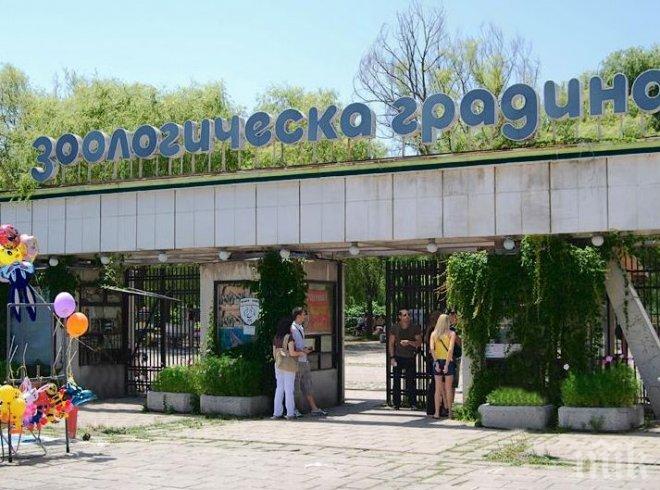 Ремонтират столичния зоопарк с 10 милиона лева 