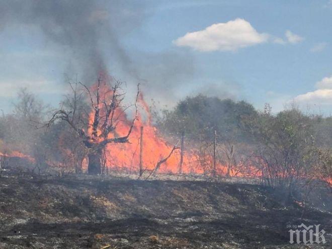 Кошмар в Пернишко! Огън погълна 18 бунгала и изпепели 14 декара гора 