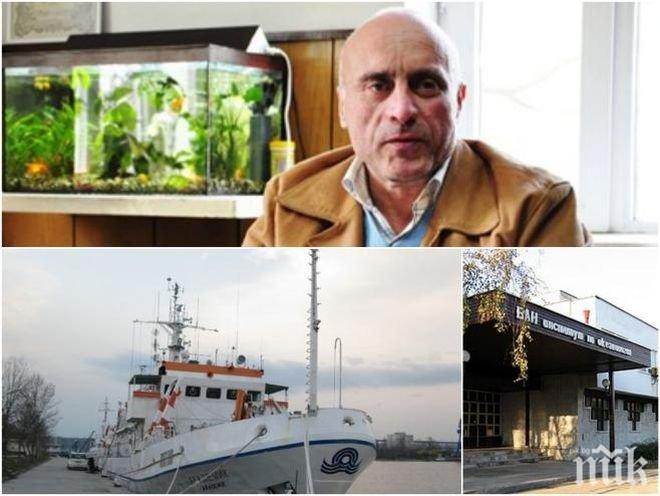 ИЗВЪНРЕДНО! Идентифицираха тялото на океанолога професор Пейчев