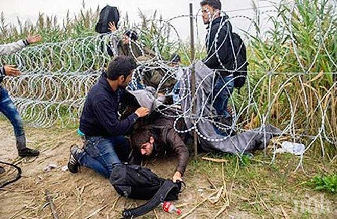 Сърбия обяви: За седмица сме предотвратили 120 опита за нелегално влизане на мигранти от България
