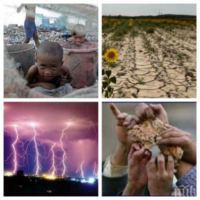 УЖАС: Учени изчислиха колко хора ще загинат при повишаване на температурата с 1.5 градуса 