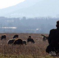 МЪСТ! Пастирът в Козаново убит заради 2 загубени овце
