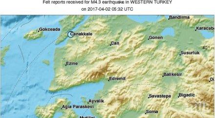 рихтер люшна турция