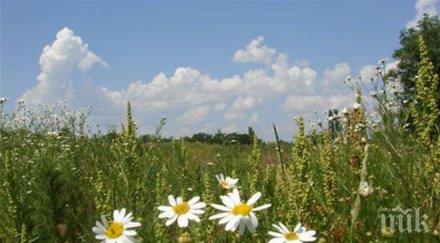 времето полудя жегите идва студ дъжд