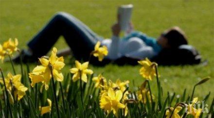 слънчева неделя почивният ден зарадва температури градуса