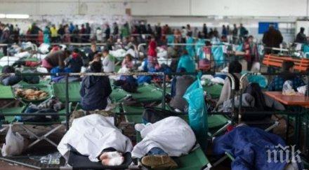 съветът европа предлага бежанците направят паспорти пише тяхното образование квалификация