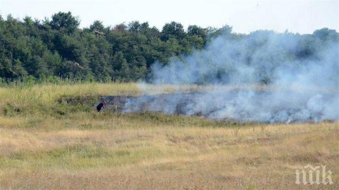 Пожарът край Мурсалево е локализиран, гасенето на пламъците продължава и в момента (СНИМКИ)
