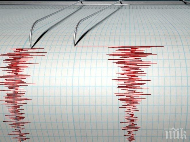 Край бреговете на Камчатка е било регистрирано земетресение с магнитуд 4,8