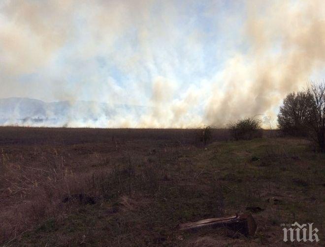 Локализираха пожара, стреснал жителите на Елин Пелин