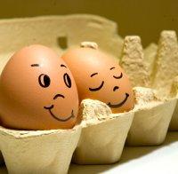 Българските яйца са най-евтини в Европа, лъжа е, че полските са на по-ниска цена