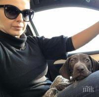 ДРАМА! Соня Немски изгуби ловно куче в горите над Годеч - дава награда! (СНИМКА)