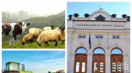 пръкна селска партия земеделци животновъди обединиха