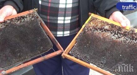 пчелар изплака медът пловдив става гипс заради праха кошерите мрат