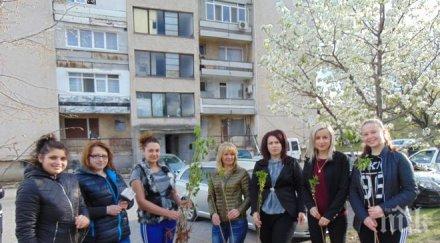 пример младежи герб започнаха залесителна кампания