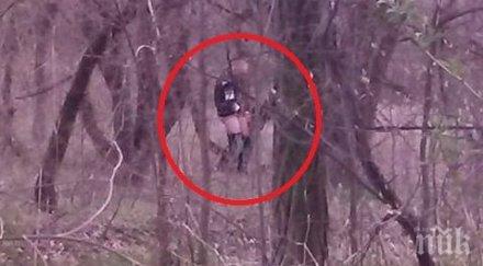 секс екс западен парк загоряла двойка направи храсталака снимка