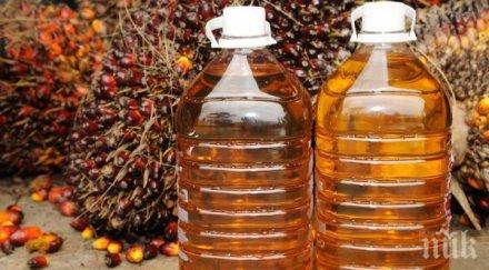 затягат вноса палмово масло