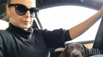 драма соня немски изгуби ловно куче горите годеч дава награда снимка