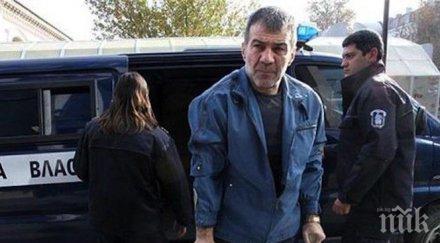 местят златистия софия гаджето плачело