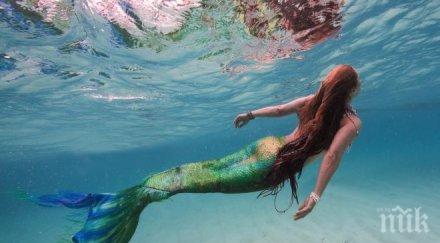 калифорнийската полиция откри русалка улицата