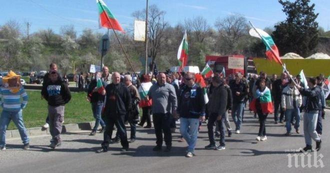  Пчеларите готвят нови протести заради пестицидите