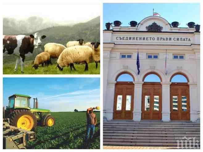 Пръкна се Селска партия! Земеделци и животновъди се обединиха
