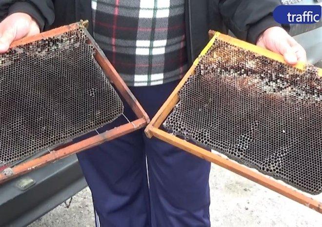 Пчелар изплака: Медът край Пловдив става на гипс заради праха, кошерите мрат