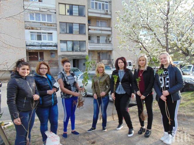 За пример! Младежи от ГЕРБ започнаха залесителна кампания