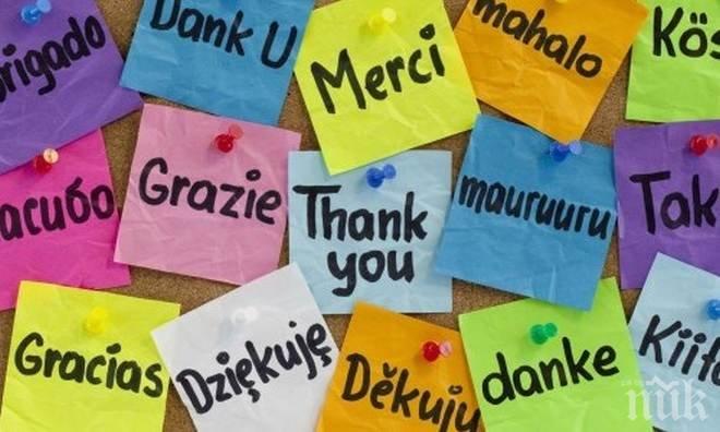 Учени разкриха: Немски, френски и китайски са езиците на бъдещето