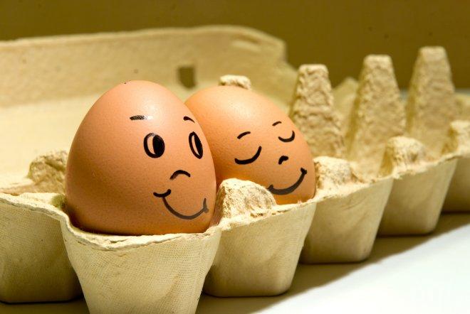 Българските яйца са най-евтини в Европа, лъжа е, че полските са на по-ниска цена