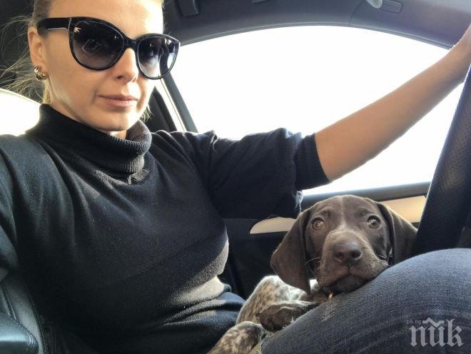 ДРАМА! Соня Немски изгуби ловно куче в горите над Годеч - дава награда! (СНИМКА)