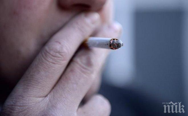 Ужасна статистика! 10 процента от смъртните случаи причинени от цигари