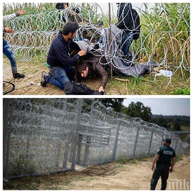 Сърбия е формирала три нови военно-полицейски екипа срещу трафика на бежанци 

