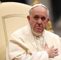 Папа Франциск призова да се помолим за жертвите на атентата в Египет