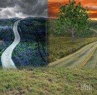 По кой път ще тръгнеш? Това разкрива много за теб

