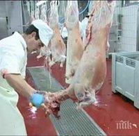 Фермери поискаха агнешкото да струва 20 лева за кило