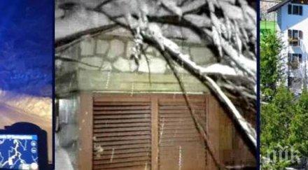 сняг изсипа цветница смолянско