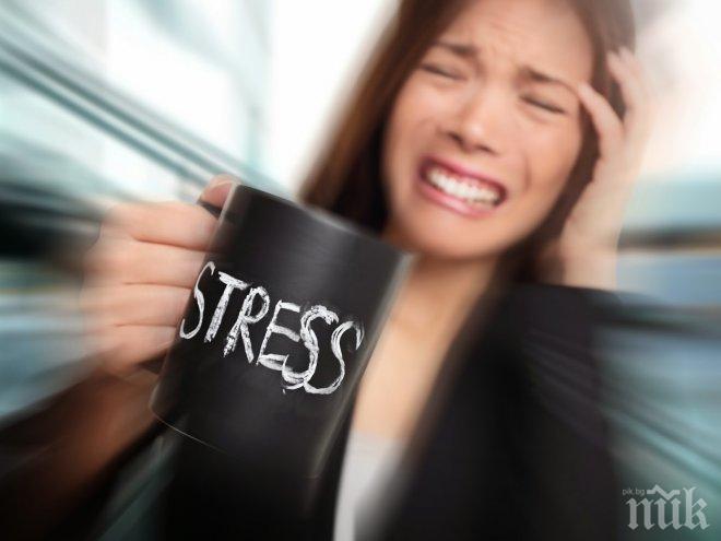 Учените съветват как да се перборим със стреса 